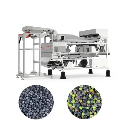 blueberry color sorter