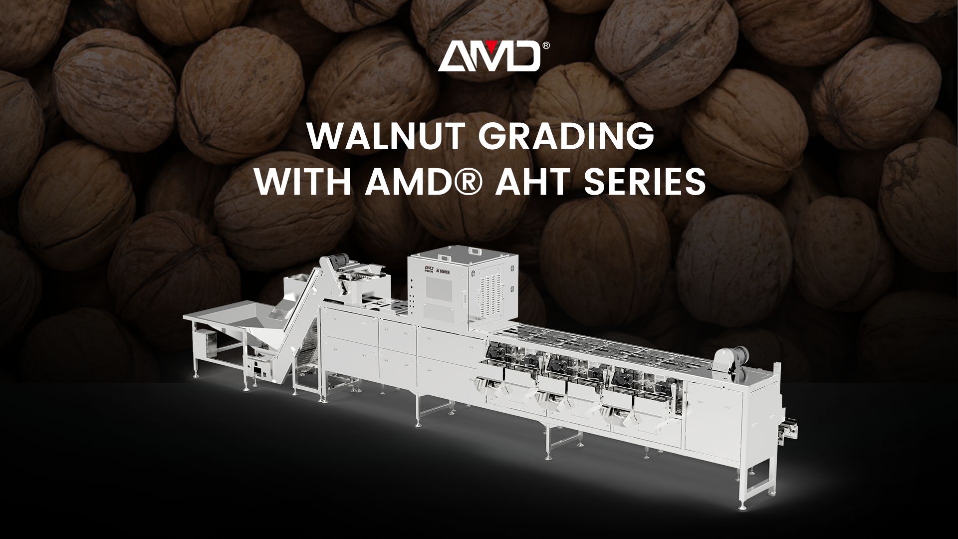 Серия AMD® AHT | Машина для сортировки неочищенных грецких орехов по размеру
