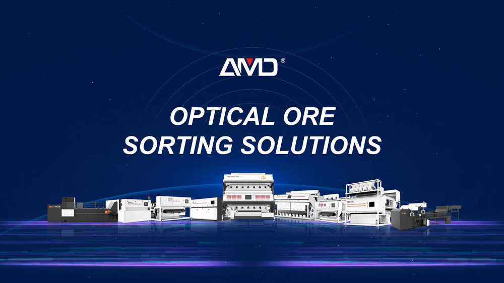 РЕШЕНИЯ AMD® ORES ORTING 2025
