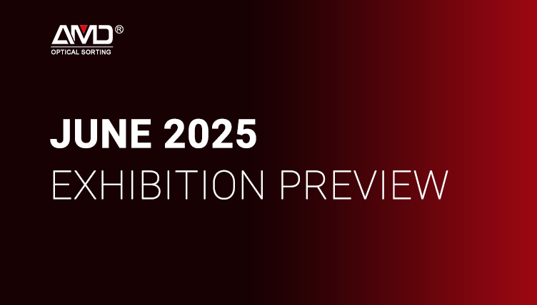 Встречайте AMD SORTING на всемирных выставках в июне 2025 г.